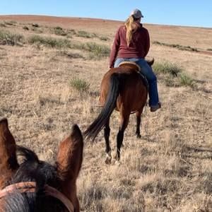 Meet your Posher, Sydney